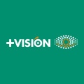 + VISION logo